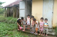25 trẻ mầm non ăn ngủ cùng mùi thuốc trừ sâu