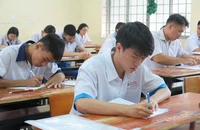 Ảnh: P.ANH