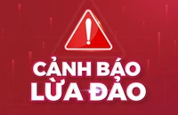 Trước giờ G công bố điểm chuẩn, trường đại học cảnh báo bẫy 'trúng tuyển ảo'