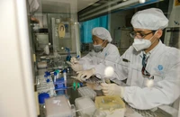  Khơi thông chính sách, thu hút nhân tài về nước - Bài 2: Nỗ lực lớn nhưng rào cản còn nhiều