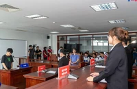 Đề xuất đưa ngành luật và y khoa vào diện 'tăng cường giám sát tối cao'