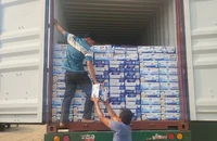 TP.HCM: 1 cán bộ hải quan tiếp tay buôn lậu gần 4.200 thùng sữa từ Mỹ vào Việt Nam