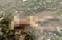 Tìm thân nhân người đàn ông tử vong trên sông Sài Gòn