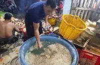 TP.HCM: Phát hiện 3 cơ sở ngâm hoa chuối với hàn the, chất tẩy trắng