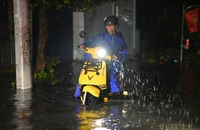 Khi mưa lớn phải bật đèn xe vào khung giờ nào để không vi phạm luật giao thông?