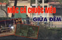 VIDEO ĐIỀU TRA - Bài 3: Giáp mặt ‘mèo tặc’: Mặc cả chuộc mèo giữa đêm