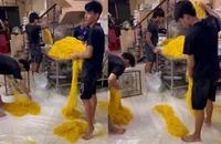 1 cơ sở ở TP.HCM sản xuất 800 tấn mì tươi trộn hàn the