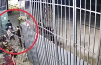 Trên đường về quê ăn Tết, nam thanh niên bị nhóm 8 người chặn chém, cướp tài sản