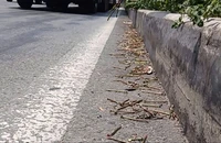 Hàng trăm đinh vít rơi vãi trên đường Mỹ Phước – Tân Vạn