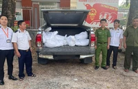 TP.HCM: Phát hiện xe chở gần 300 kg gà chết bốc mùi hôi thối đi tiêu thụ