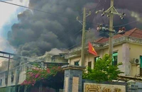 TP.HCM: Cháy lớn tại công ty trong KCN Đại Đăng