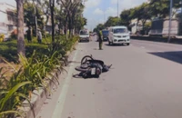 Tìm người chứng kiến vụ tai nạn trên đường Trần Văn Giàu ở TP.HCM