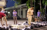 Vận chuyển hơn 500kg gỗ sưa, bị lực lượng chức năng bắt