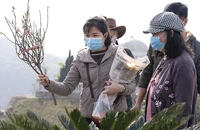Tảo mộ cuối năm, nét đẹp truyền thống lâu đời của người Việt