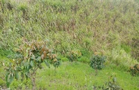 Hiện trường vụ án