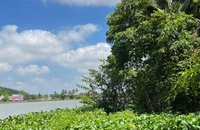 Phó Giám đốc Trung tâm Phát triển quỹ đất chết trong tư thế treo cổ