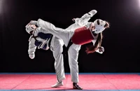 Hiệp hội Taekwondo Hà Nội chưa chính danh