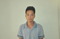 Bị dừng xe kiểm tra, tài xế bỏ chạy hất CSGT lên nắp capo