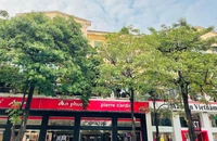 Hà Nội: Không phải lần đầu đường Nguyễn Chí Thanh thay thế cây xanh