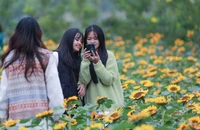 Hà Nội: Hàng nghìn người đổ về Lễ hội hoa Mê Linh năm 2022 