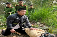 Thực nghiệm hiện trường vụ án giết người, cướp tài sản tại đồi cao su