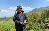1 phụ nữ trồng gần 2.000 cây thuốc phiện để bán 