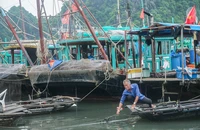 Nơi mở rộng vòng tay đón tàu thuyền mỗi khi biển 'thét gào'