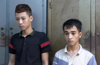 2 thanh niên gây ra 6 vụ phá kính ô tô để trộm cắp tài sản 