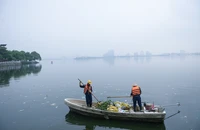 Hà Nội: Cá lại chết ở hồ Tây, bốc mùi hôi thối