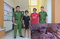 Đổ, dịch chuyển các bát hương hơn 1.000 phần mộ trong nghĩa trang để tìm tiền