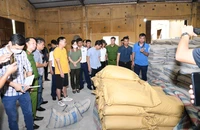 Mua 100 tấn xi măng làm ‘bình phong’ cho lô ma túy trị giá hàng chục triệu USD
