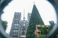 Cận cảnh những cây thông noel 'khổng lồ' ở Hà Nội phục vụ dịp Giáng sinh 2023