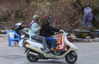 Chợ hoa Hà Nội nhộn nhịp ngày cuối năm