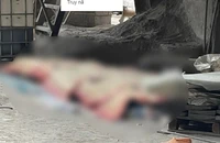 Vụ tai nạn ở Nhà máy xi măng Yên Bái: Nhân viên chọc cán chổi vào rơle đóng điện khiến máy khởi động