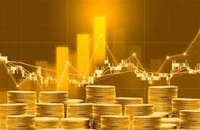 Đầu tư sàn vàng online, 1 phụ nữ bị lừa 24 tỉ đồng
