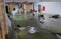 Nhiều tuyến đường ở Hà Nội sáng nay bị ngập sâu 
