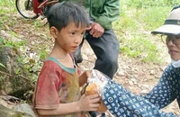 Tìm thấy cháu bé đi lạc trong rừng ở Yên Bái sau 4 ngày