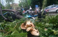 Hà Nội khẩn trương dọn dẹp, khắc phục hậu quả sau bão số 3