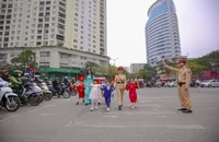 WHO mời Việt Nam chia sẻ kinh nghiệm kéo giảm tai nạn giao thông