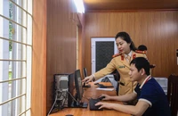 Những trường hợp nào chưa được cấp giấy phép lái xe?