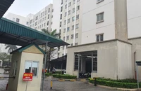 Nam thanh niên nghi ‘ngáo đá’ tấn công 1 cô gái dẫn đến tử vong