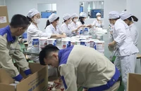 Khởi tố 4 bị can 'chạy án' trong vụ sản xuất, buôn bán sữa bột giả