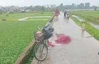Người phụ nữ nghi bị sét đánh tử vong ở Hà Nội
