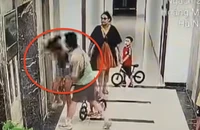 Bắt giữ người đàn ông hành hung phụ nữ tại chung cư ở Hà Nội