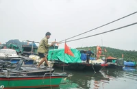 Bão số 9 chưa đến, người dân lại lo bão số 10