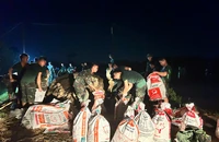 Hàng ngàn người căng mình gia cố đê chống lũ ở Bắc Ninh trong đêm