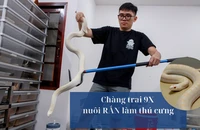 Chàng trai với niềm đam mê nuôi rắn làm thú cưng suốt 15 năm