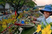 Tấp nập thuyền hoa cập Bến Bình Đông, nhà vườn ngập tràn hy vọng