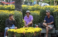 TP.HCM: Chợ hoa Tết vắng người mua, tiểu thương 'buôn chuyện' hết ngày