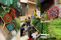 TP.HCM: Ấm áp phiên chợ 0 đồng của Hoa hậu môi trường giữa tâm dịch